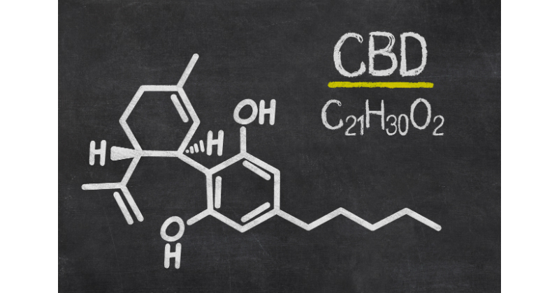 cbd cannabis