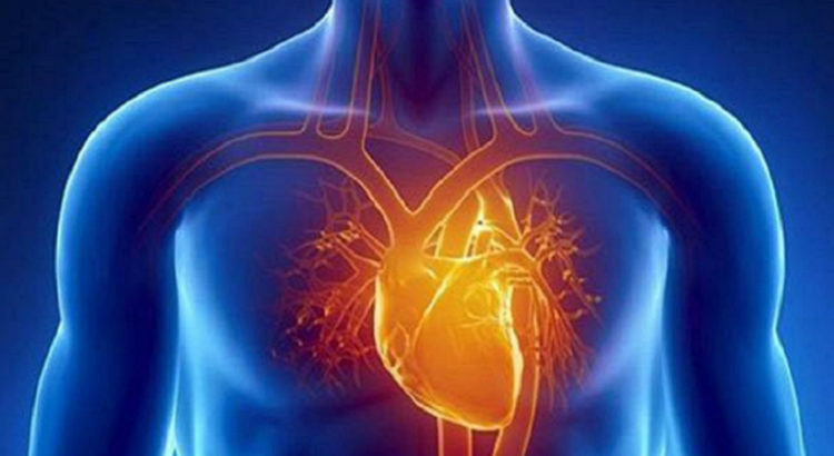 cannabis crise cardiaque