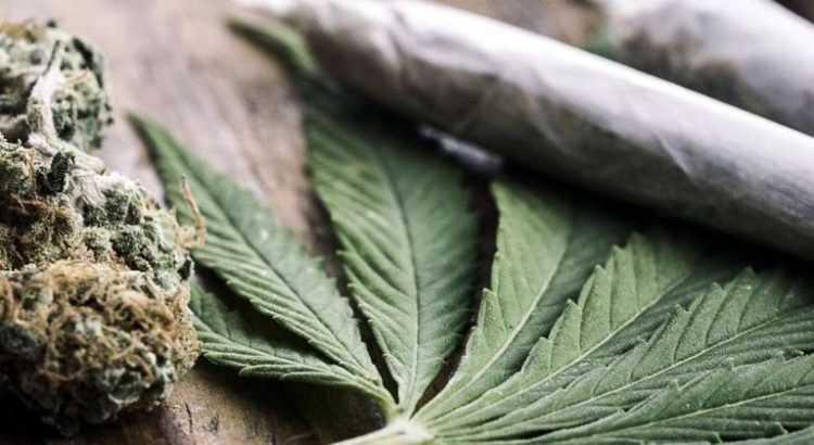 Prochains pays à légaliser le cannabis