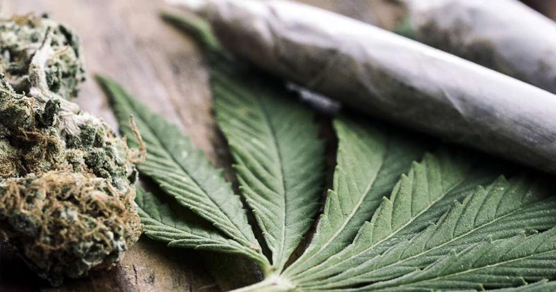Prochains pays à légaliser le cannabis
