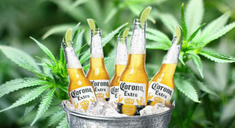constellation brands cannabis