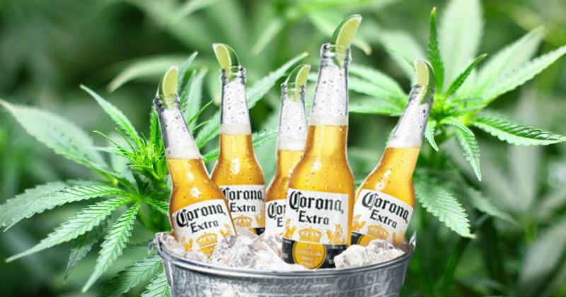 constellation brands cannabis