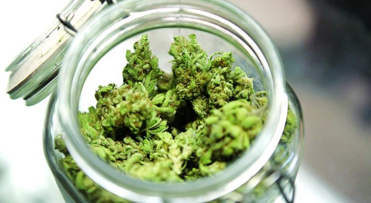 Cannabis médical en France