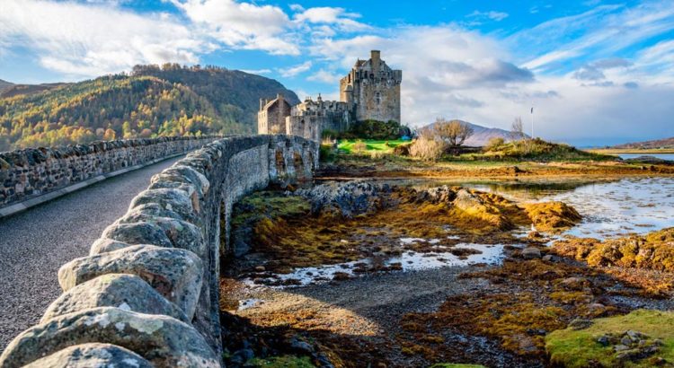 Cannabis médical en Irlande