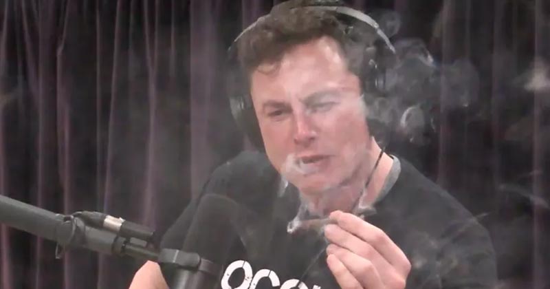 Elon Musk fume de la weed