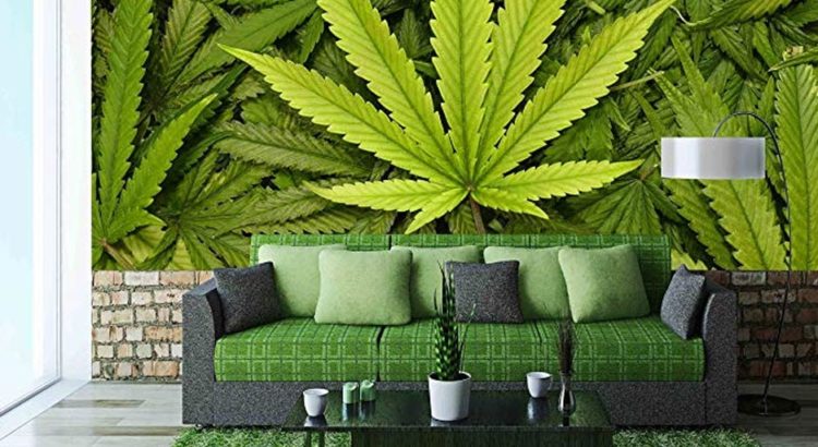 Feuille de cannabis au Québec