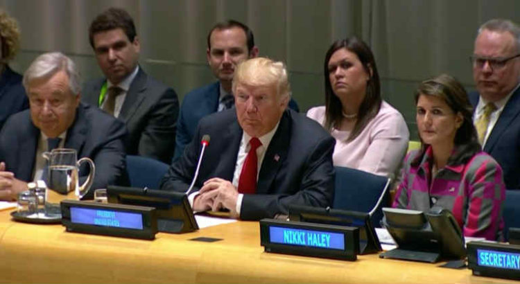 trump ONU