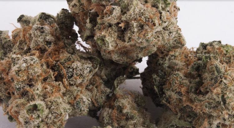 Variétés de cannabis au goût raisin