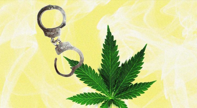 Amnistie pour le cannabis en Californie