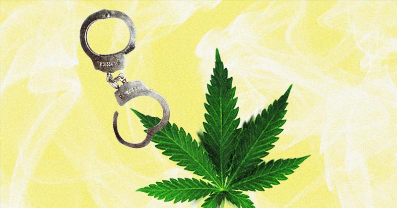 Amnistie pour le cannabis en Californie