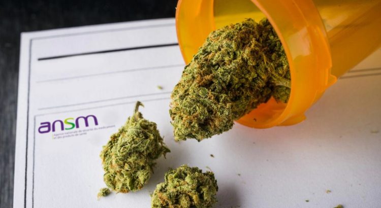 ANSM et cannabis médical