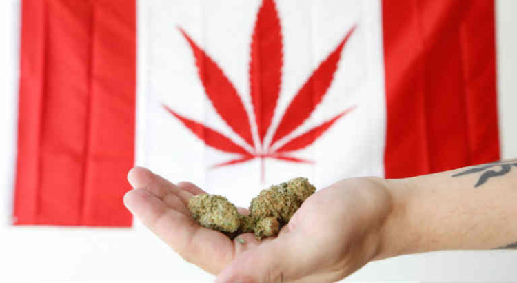 canada cannabis drapeau