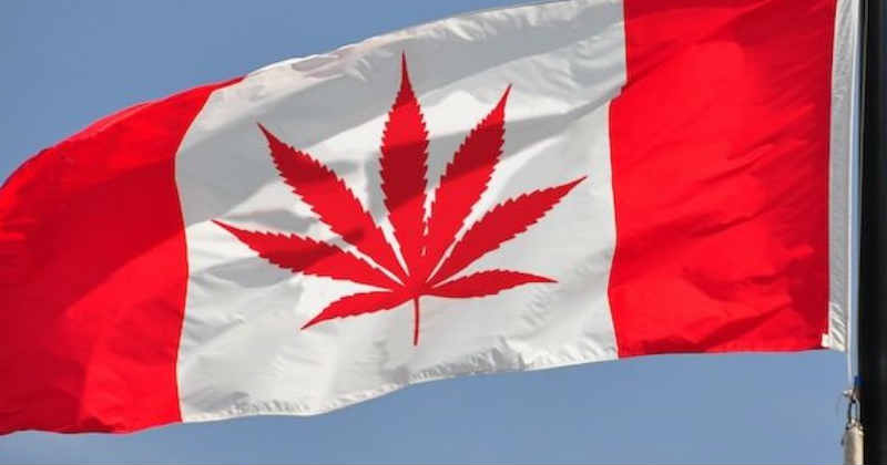cannabis canada drapeau