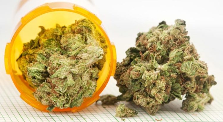 Cannabis thérapeutique en France