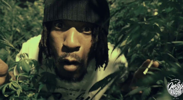 Mory Kush