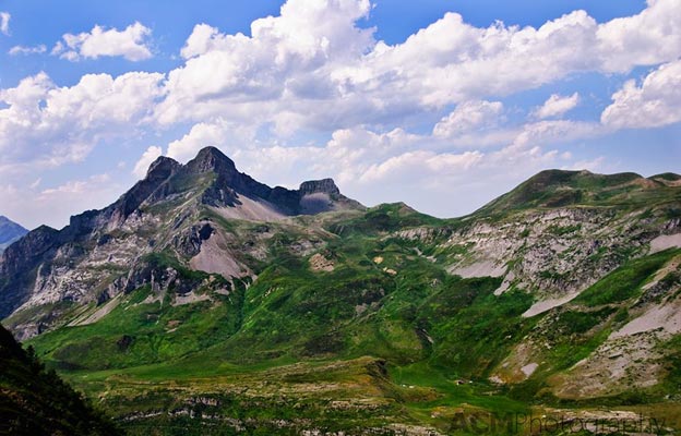 pyrenees