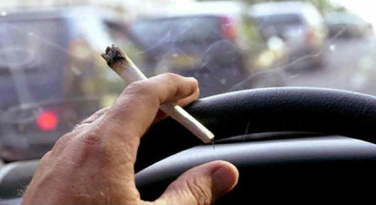 cannabis au volant
