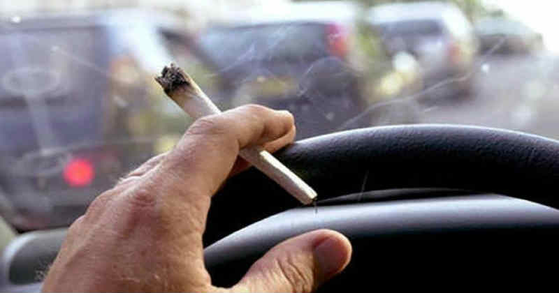 cannabis au volant