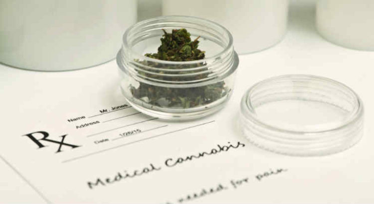 cannabis médical