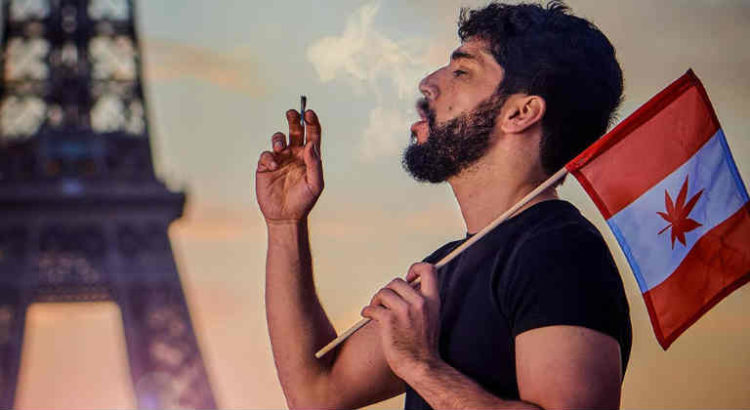 noman hosni histoires de weed