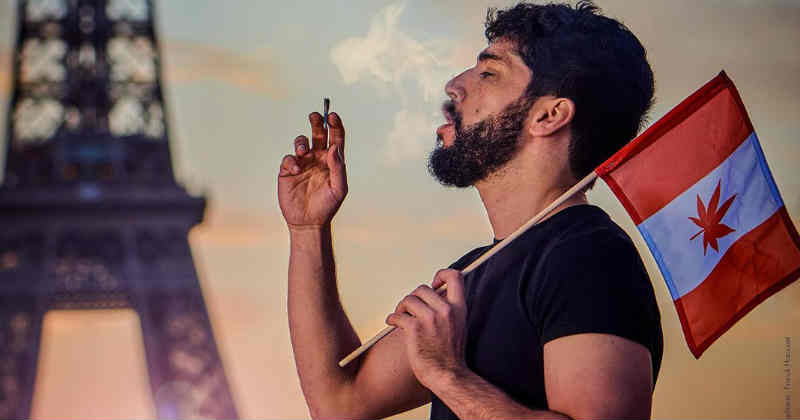 noman hosni histoires de weed