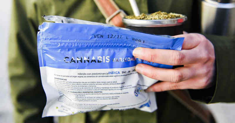 Cannabis en Uruguay