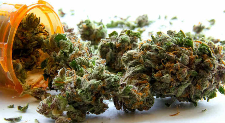 cannabis médical