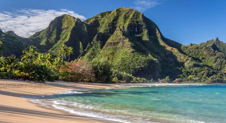 Cannabis à Hawaii