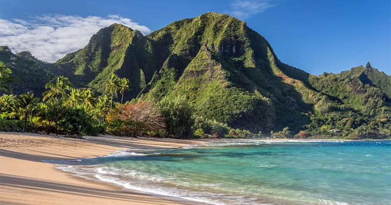 Cannabis à Hawaii