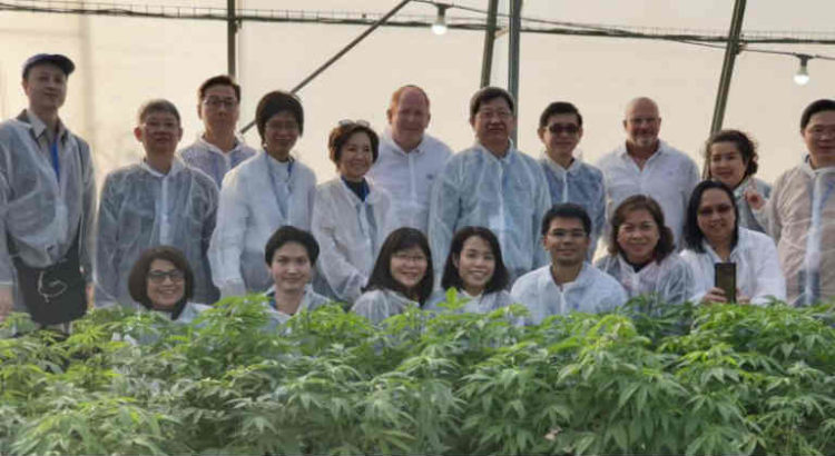 délégation thaïlandaise en Israel cannabis médical