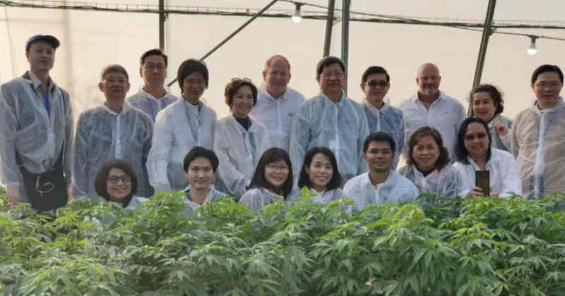 délégation thaïlandaise en Israel cannabis médical