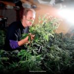 Luc from Paradise Seeds
