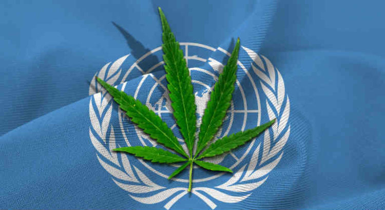 ONU OICS cannabis