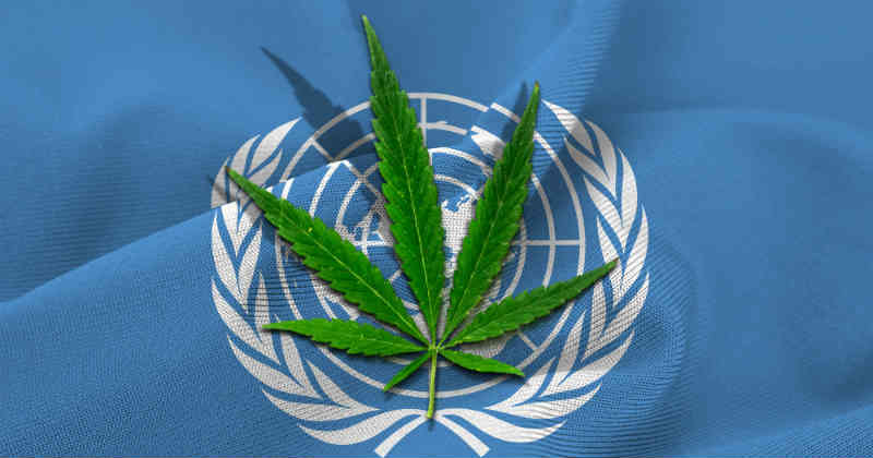 ONU OICS cannabis