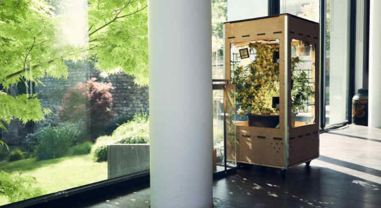 super green lab grow box connectée