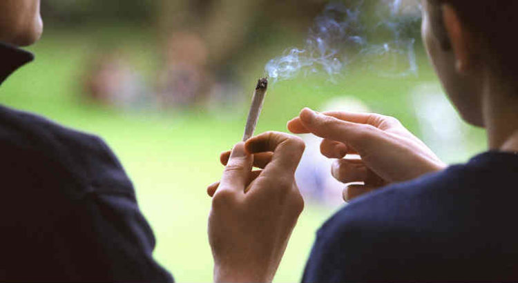 consommation cannabis israel