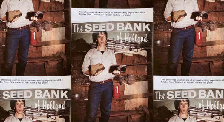 nevil schoenmakers le "king of cannabis"