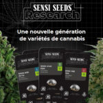 Sensi Seeds Research