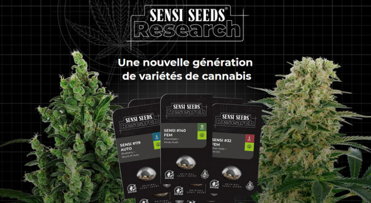 Sensi Seeds Research