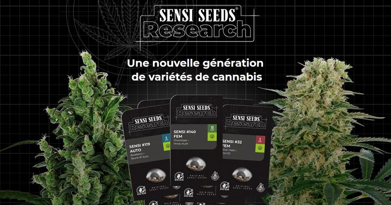 Sensi Seeds Research