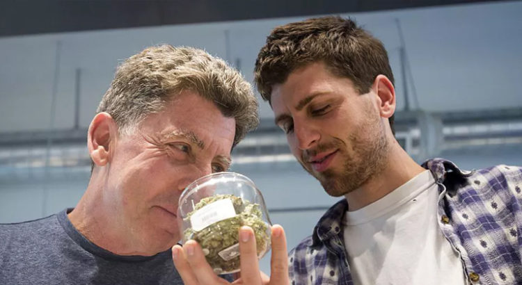 Sniffer du cannabis
