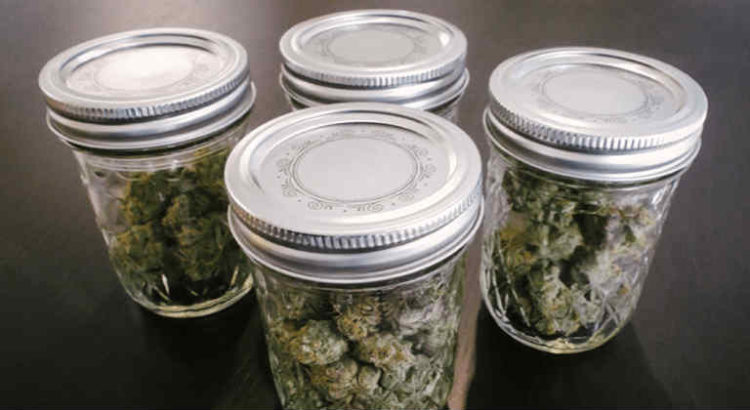 stockage cannabis