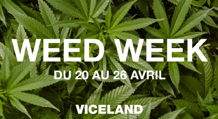 Weed Week Viceland 2019