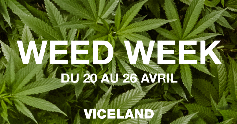 Weed Week Viceland 2019