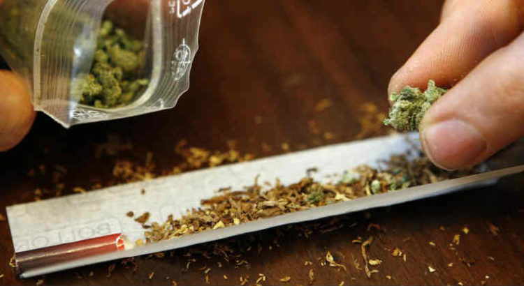 consommation de cannabis canada