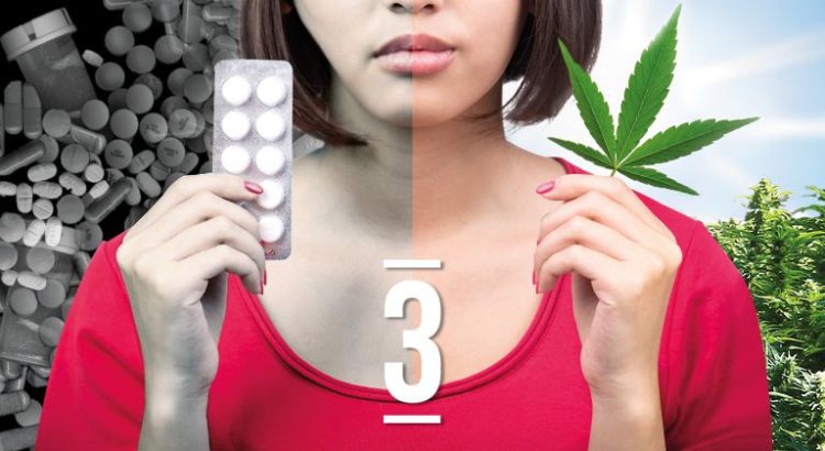 cannabis opioïdes