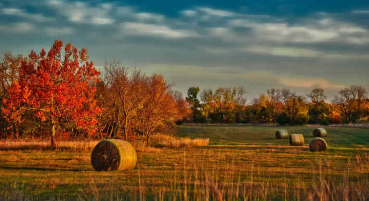 kansas légalisation cannabis médical
