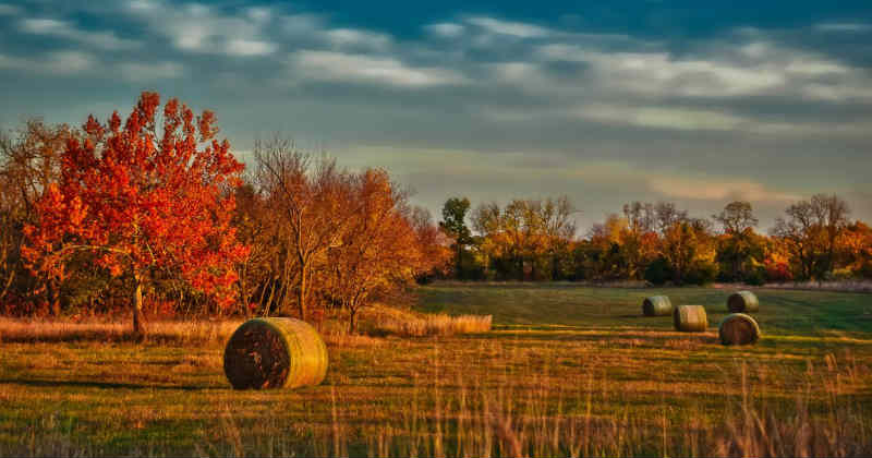 kansas légalisation cannabis médical