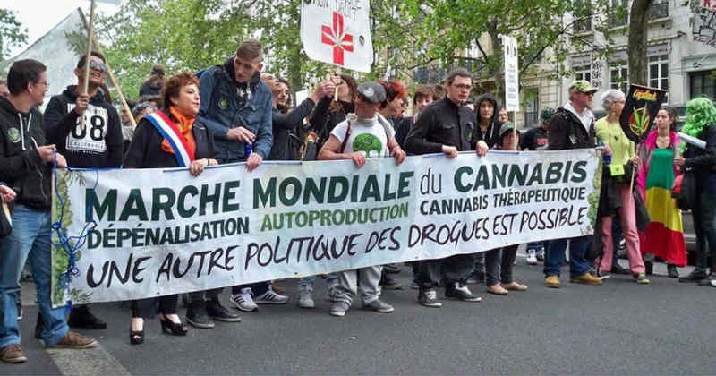 marche du cannabis