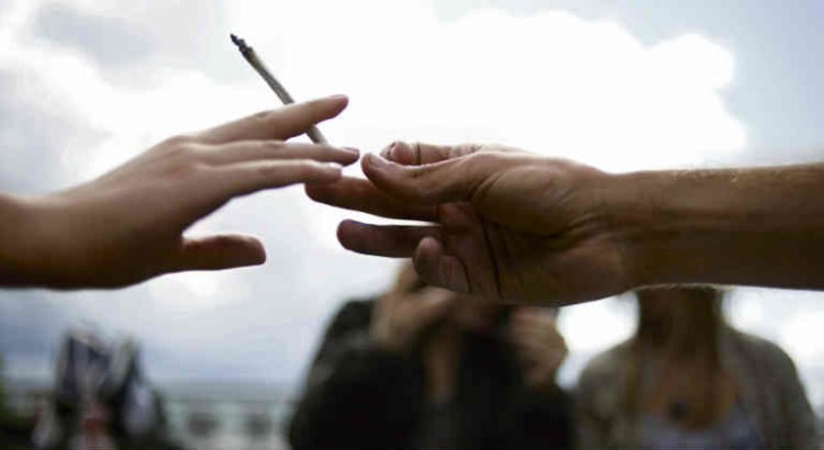 ONG cannabis réforme lettre ouverte